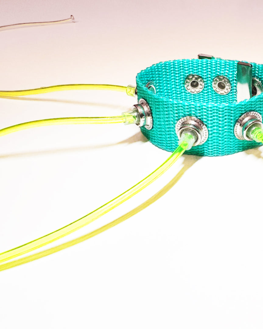 Blue Carpobilical Bracelet