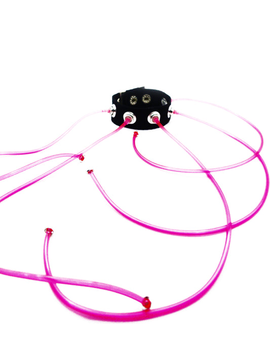 Carpobilical Bracelet