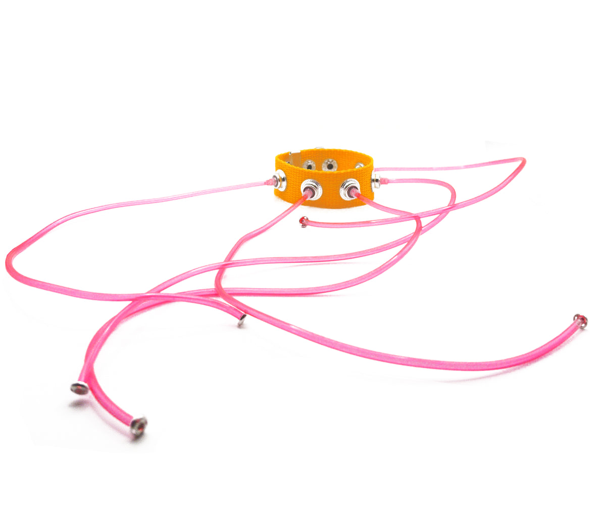 Carpobilical Bracelet