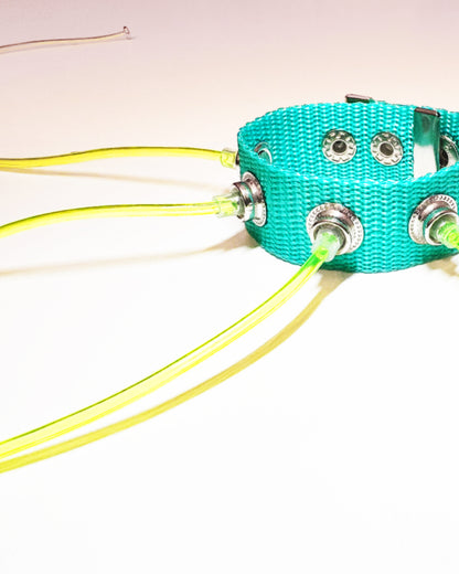 Blue Carpobilical Bracelet