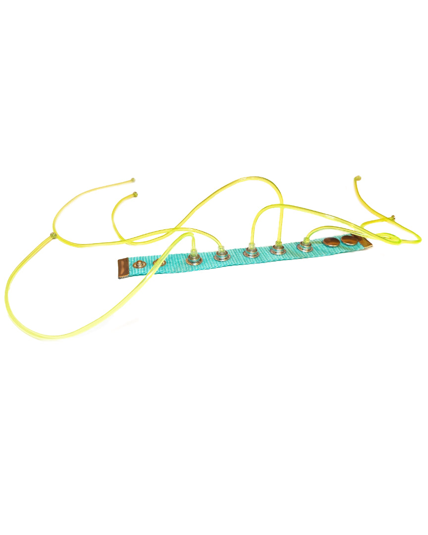 Blue Carpobilical Bracelet