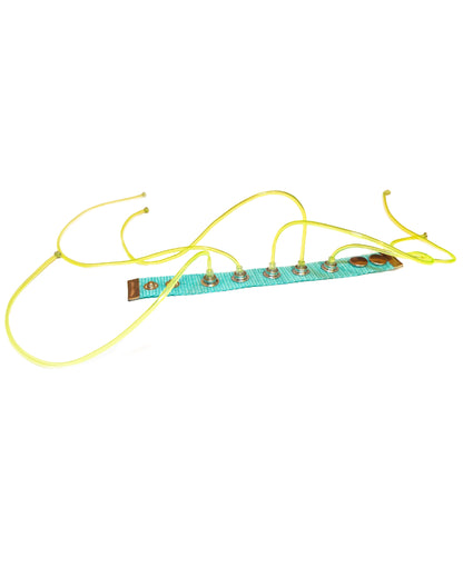 Blue Carpobilical Bracelet