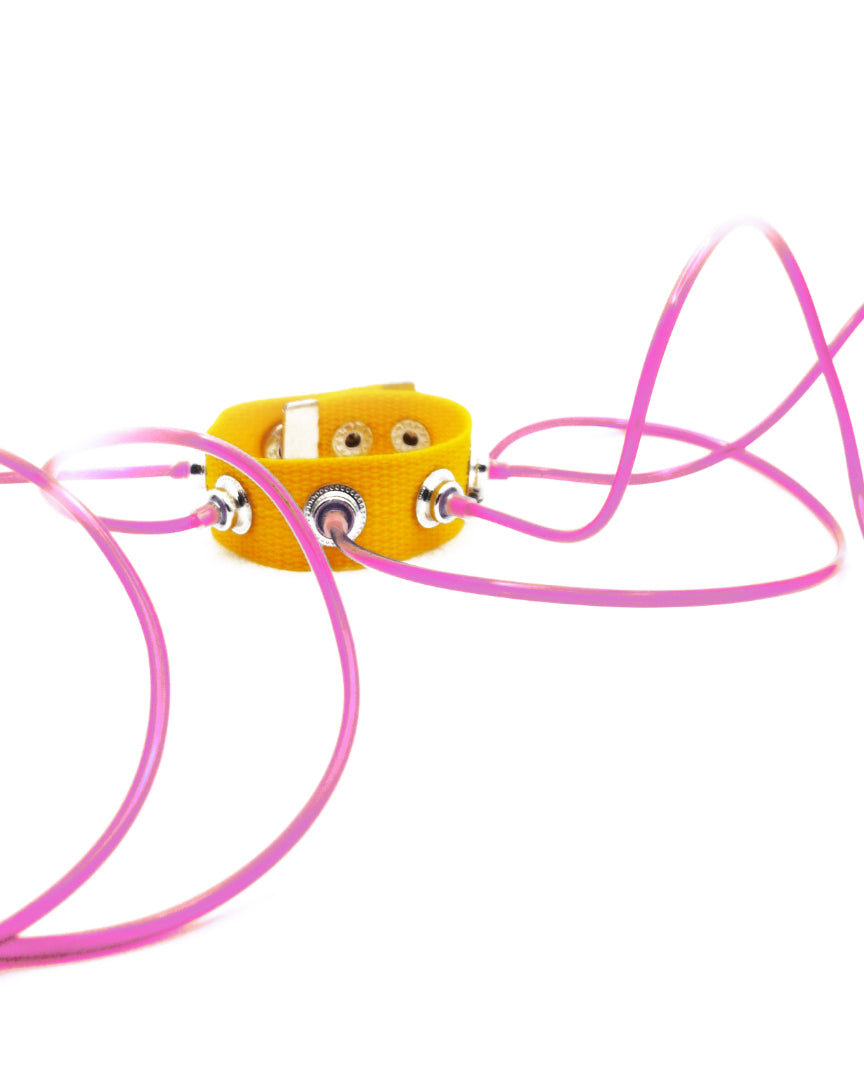 Carpobilical Bracelet