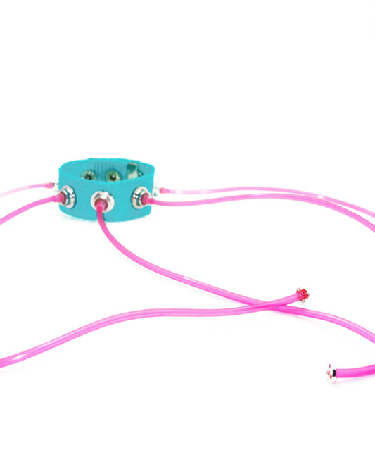 Carpobilical Bracelet