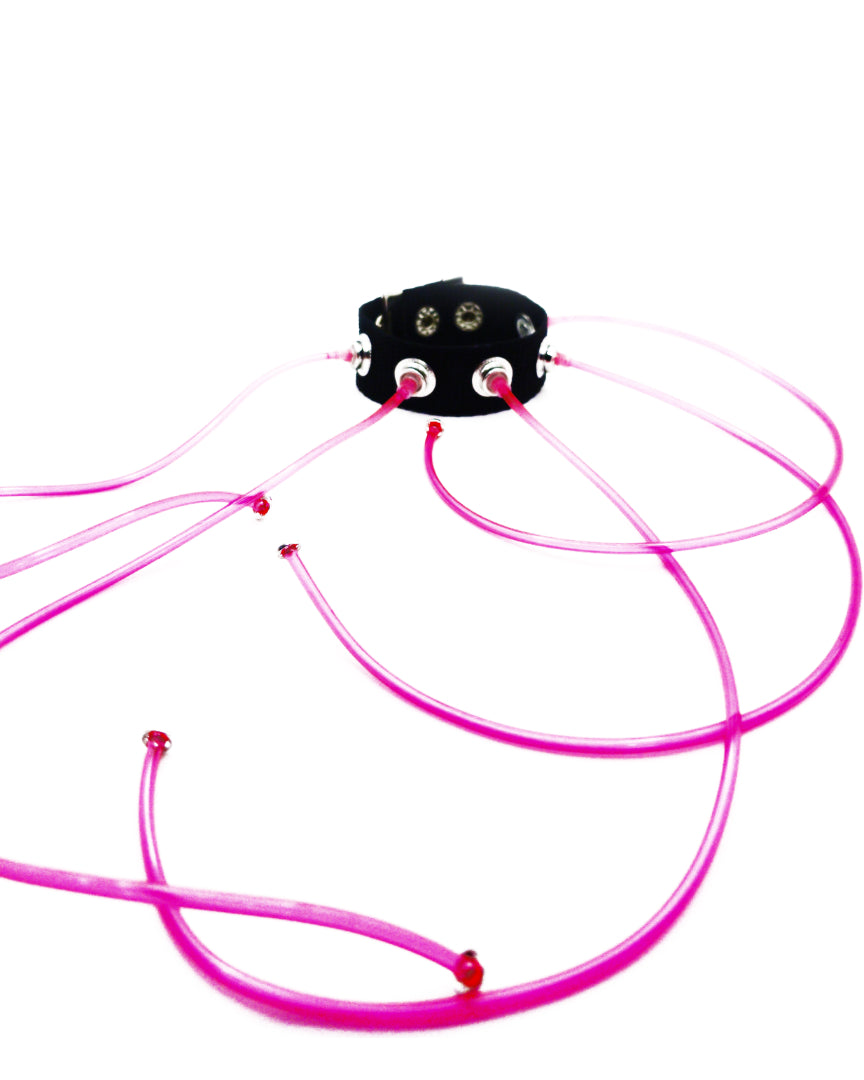 Carpobilical Bracelet