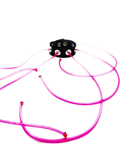 Carpobilical Bracelet