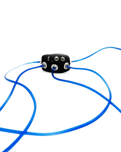 Carpobilical Bracelet