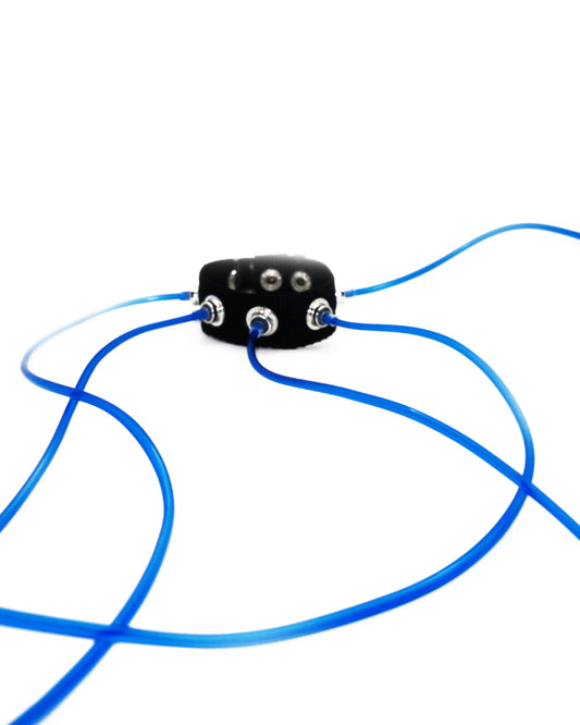 Carpobilical Bracelet