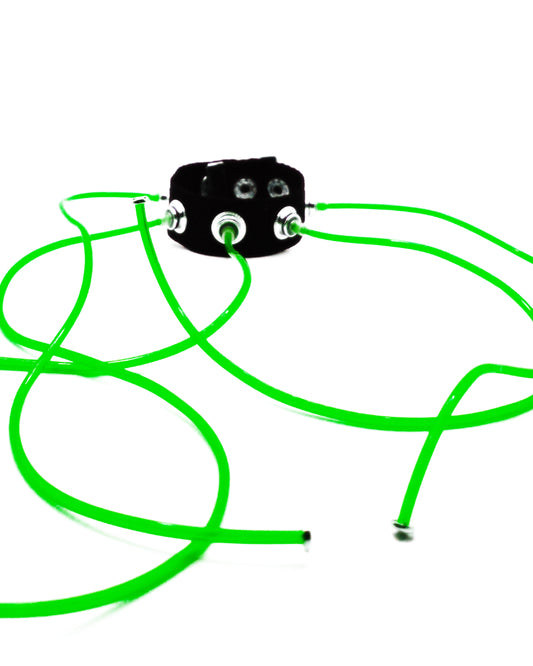 Carpobilical Bracelet