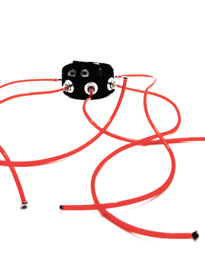 Carpobilical Bracelet