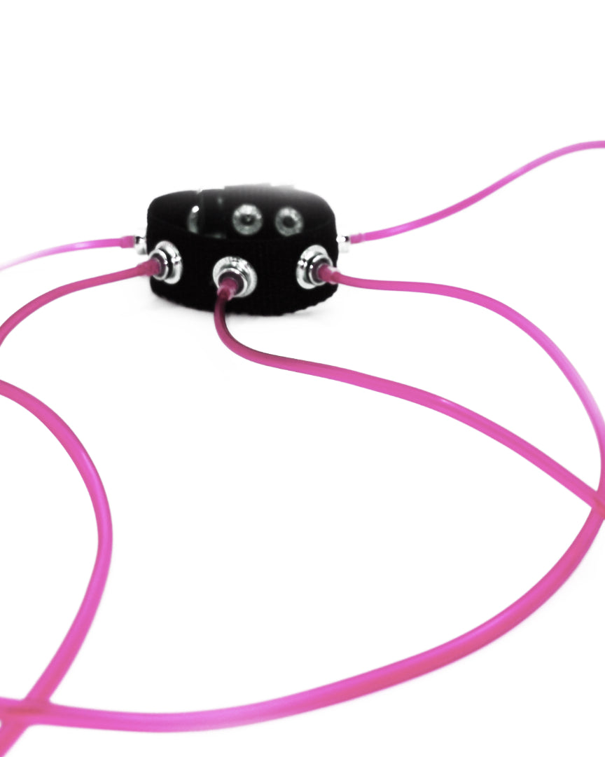 Carpobilical Bracelet