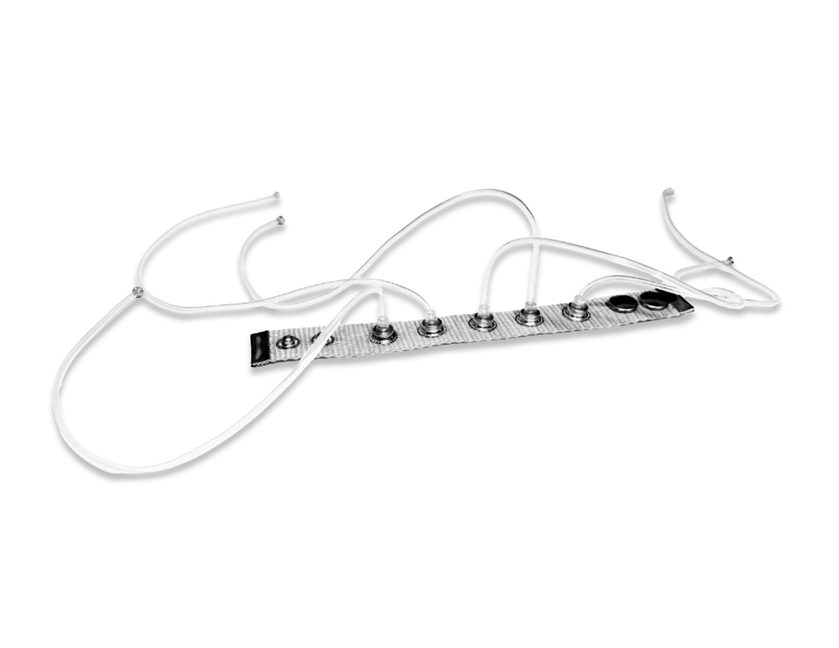Carpobilical Bracelet (Custom)